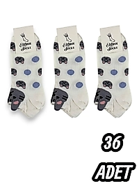 Kadın Mirox patik Çorap 36 Adet