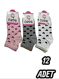 Kadın Özde Konç Patik Çorap 12 Adet