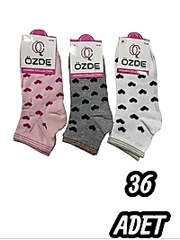 Kadın Özde Konç Patik Çorap 36 Adet