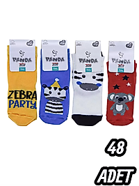 Bebe Panda Çorap 48 Adet