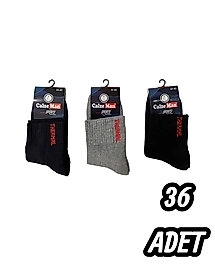 Erkek Calzeman Havlu Patik 36 Adet